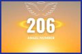 
ANGEL NUMBER 206
